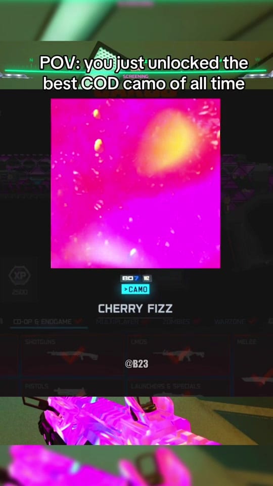 Post 2 by B23 on TikTok (video)