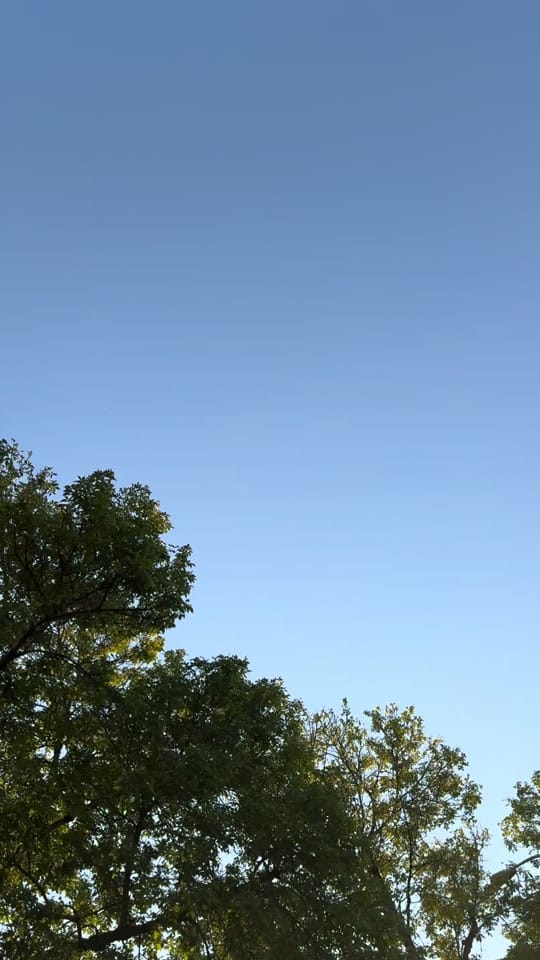Post 10 by Mikey’s H.C! on TikTok (video)