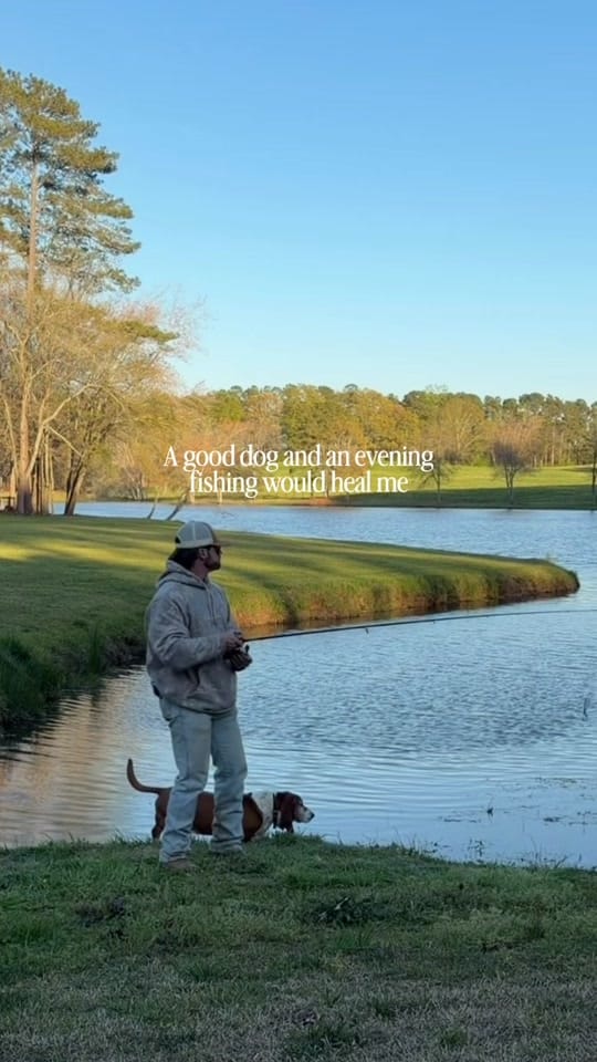 Post 3 by reidmorris on TikTok (video)