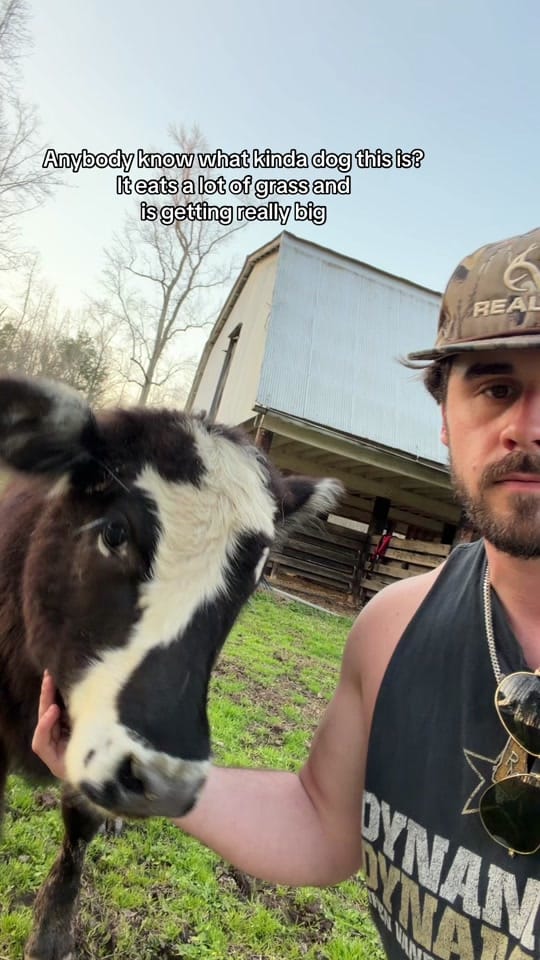 Post 9 by reidmorris on TikTok (video)