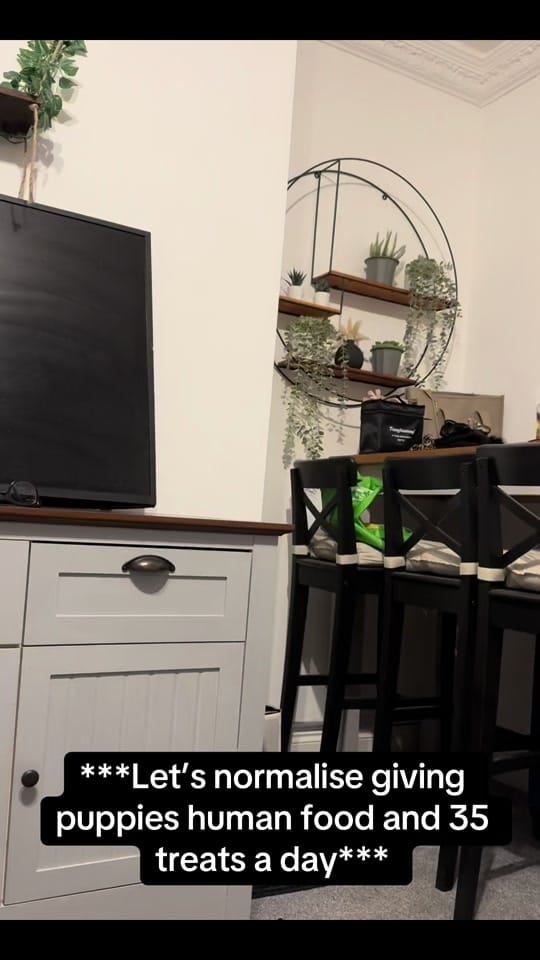 Post 9 by El🤍 on TikTok (video)