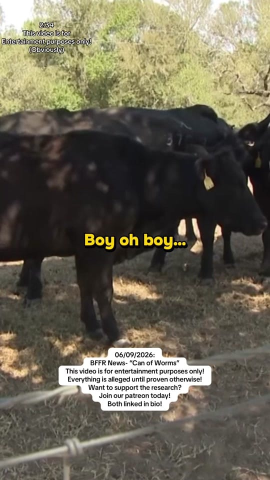 Post 6 by BFFR News on TikTok (video)