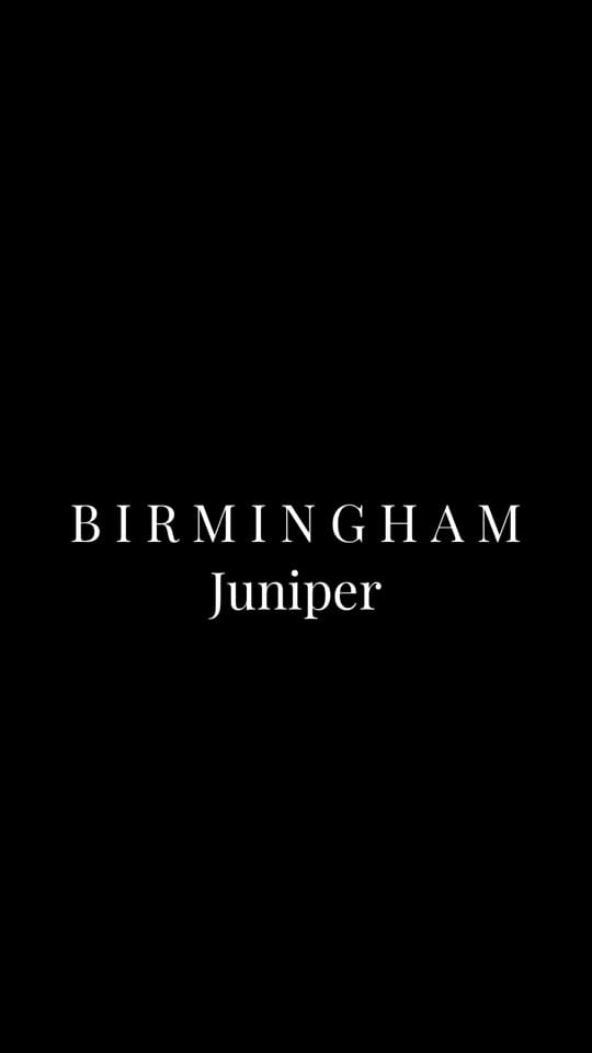 Post 7 by iSpeak Birmingham💫 on TikTok (video)