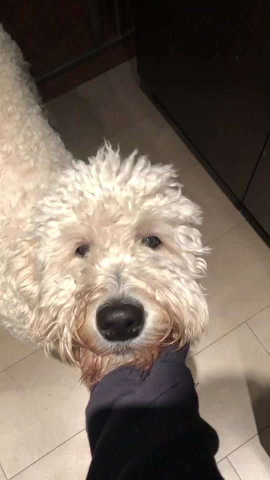 Post 8 by Makzo on TikTok (video)
