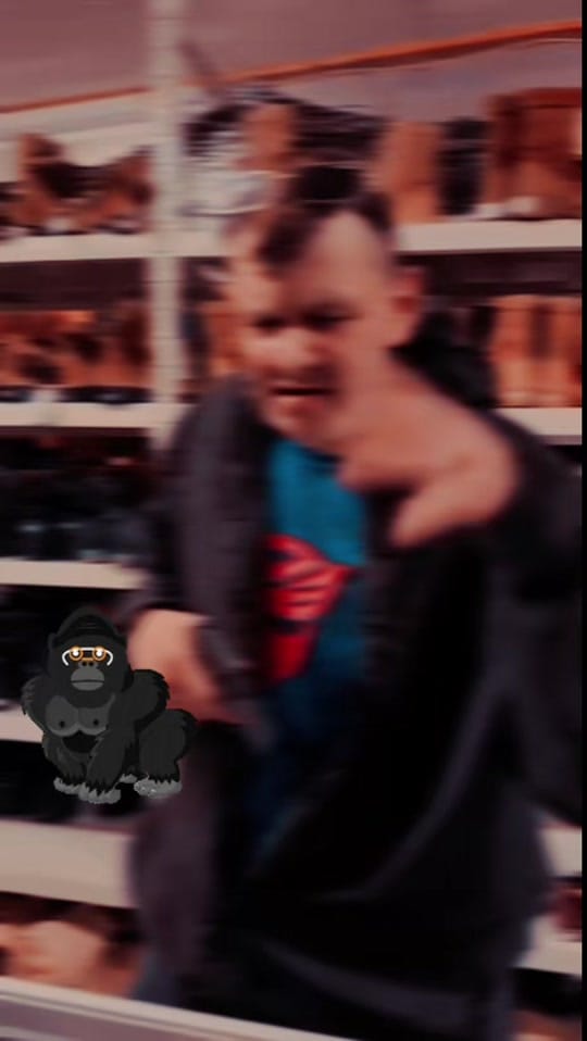 Post 5 by Gorilla Surplus on TikTok (video)