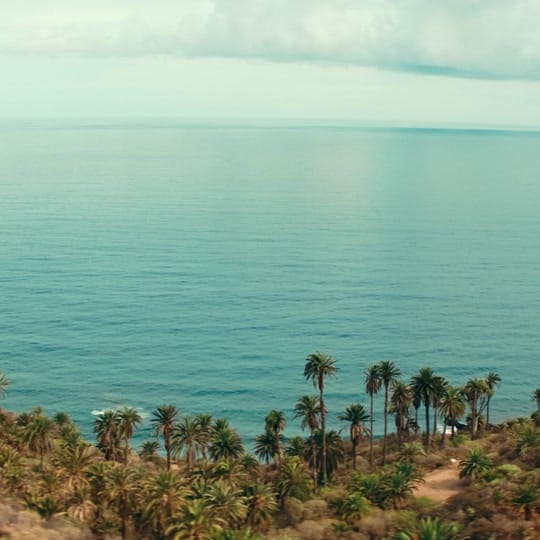 Post 5 by wildcard_film on TikTok (video)
