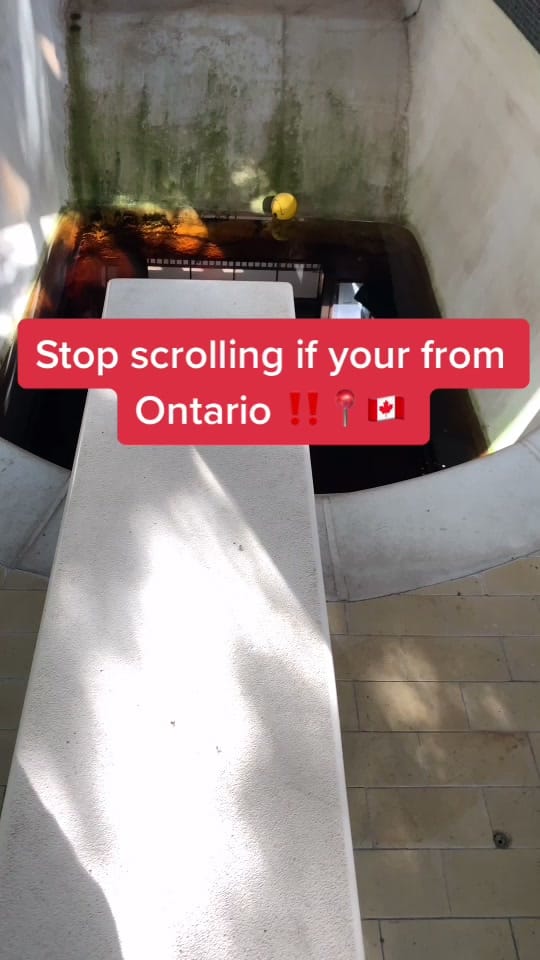 Post 8 by Ontario on TikTok (video)