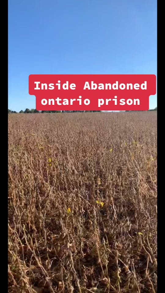 Post 10 by Ontario on TikTok (video)