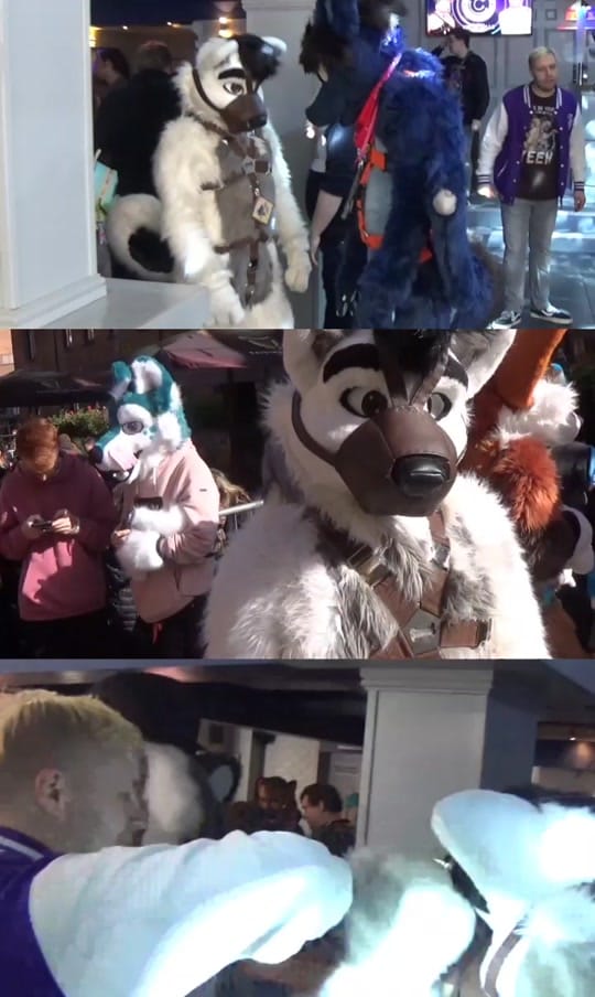 Post 4 by Hroar on TikTok (video)
