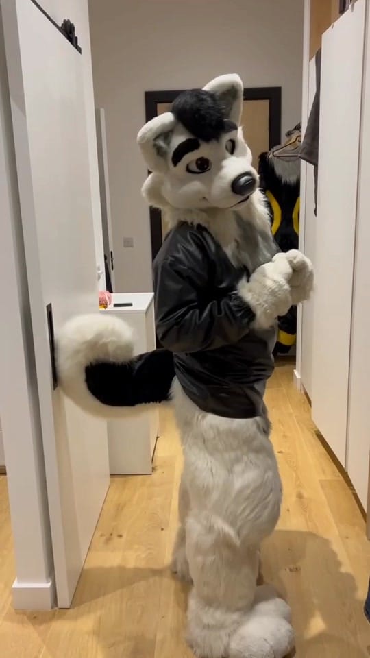 Post 8 by Hroar on TikTok (video)