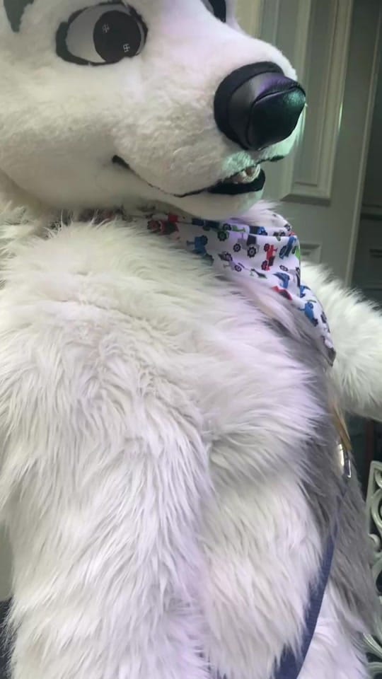 Post 7 by Hroar on TikTok (video)