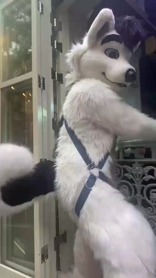 Post 6 by Hroar on TikTok (video)