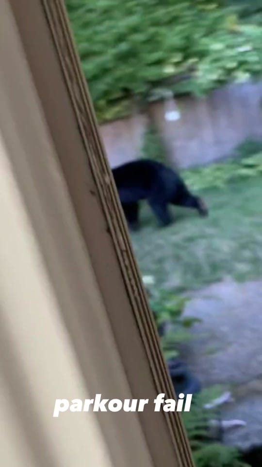 Post 8 by d4.twitch on TikTok (video)