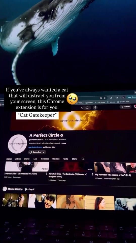 Post 10 by <TinyKiri /> 👾 on TikTok (video)
