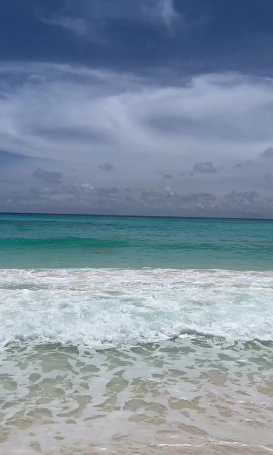 Post 4 by salutcestleaderprinc on TikTok (video)