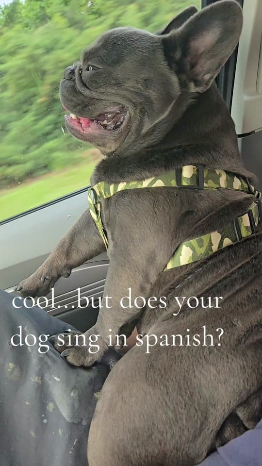 Post 6 by ThatCarGirlRachel on TikTok (video)