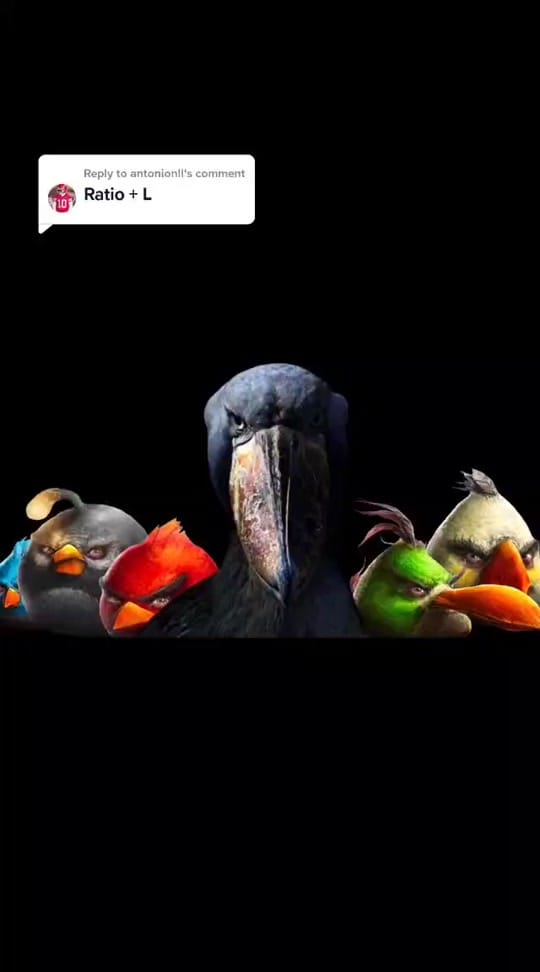 Post 7 by Aramean Gigachad on TikTok (video)