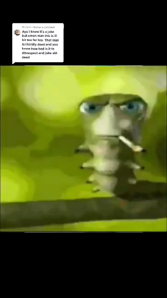 Post 8 by Aramean Gigachad on TikTok (video)
