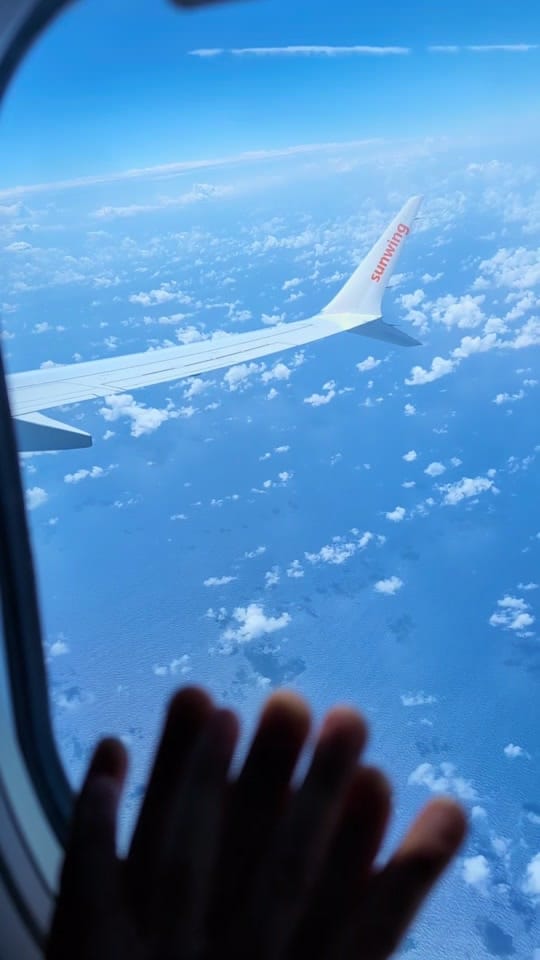 Post 9 by Alanah Cameron on TikTok (video)