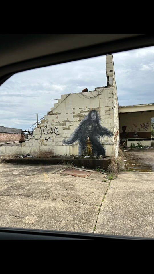 Post 5 by Lee Harper on TikTok (video)