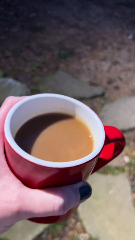 Post 10 by Lee Harper on TikTok (video)