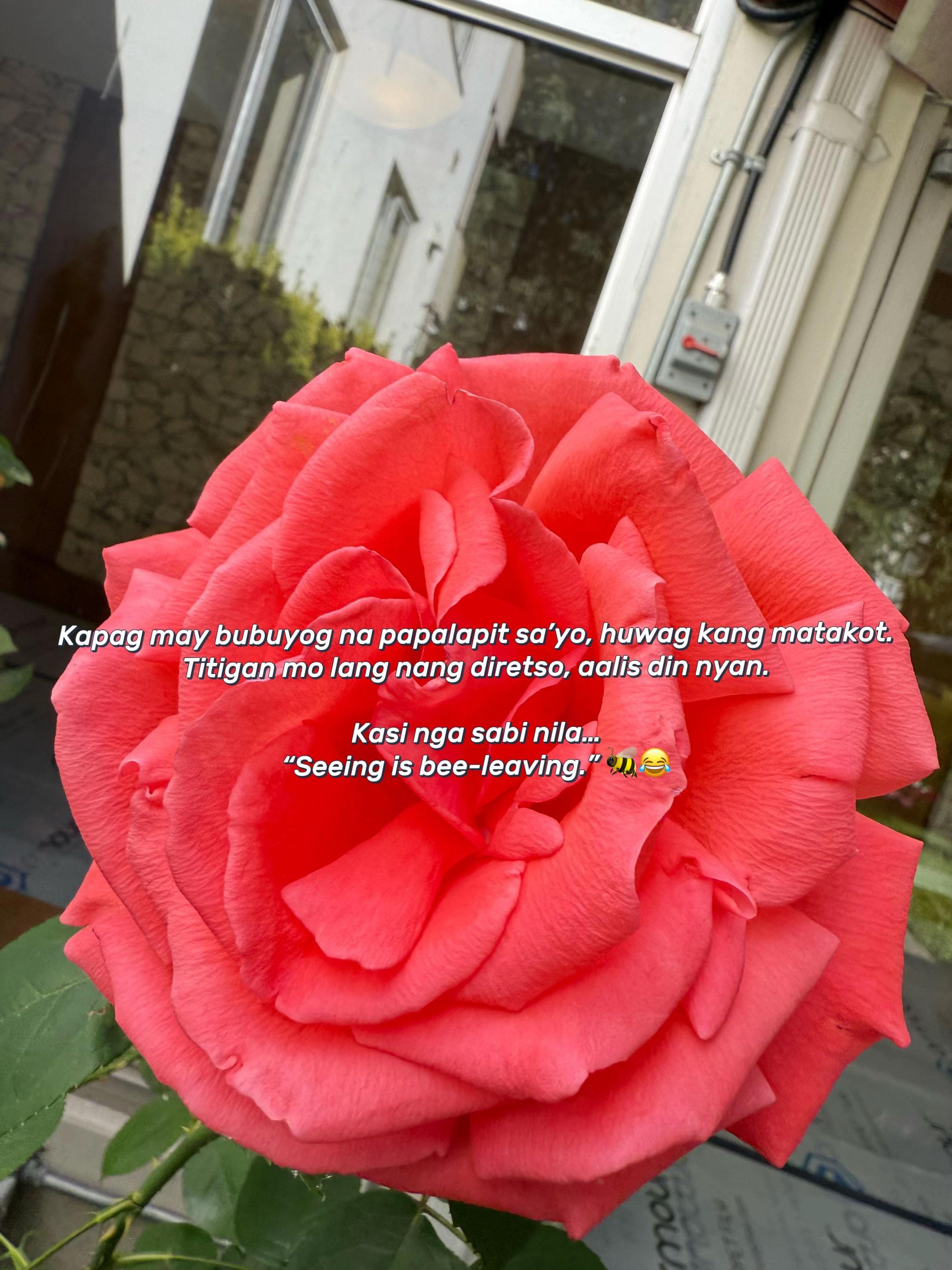 Post 1 by 𝐓𝐀𝐑𝐀𝐊𝐈🇵🇭🇨🇦 on TikTok (video)