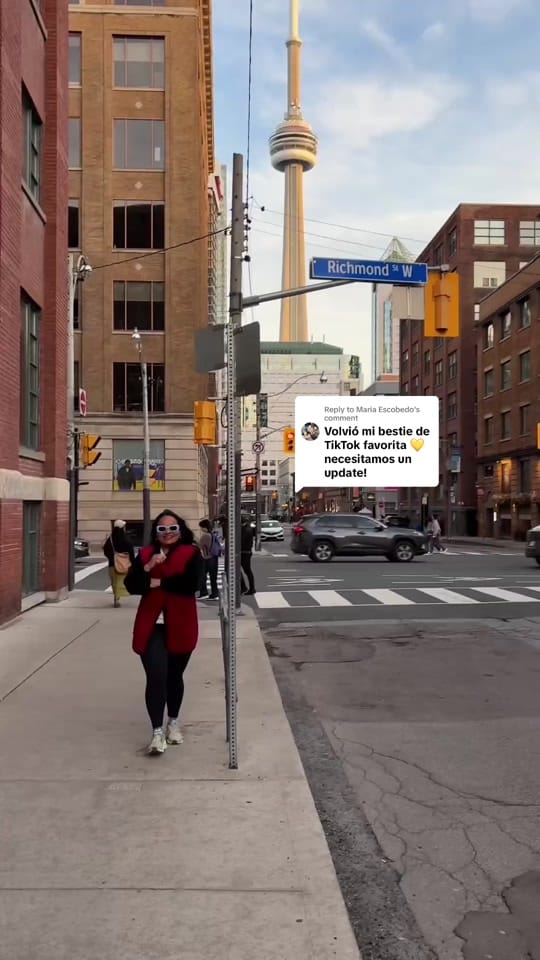Post 6 by Elena • Data Girl • Toronto on TikTok (video)