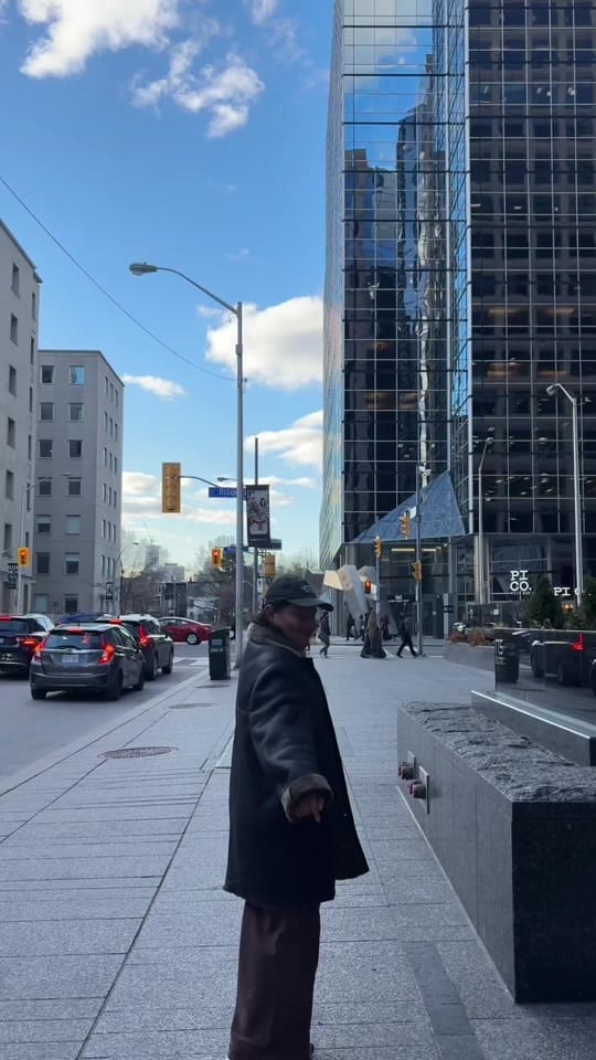 Post 4 by Elena • Data Girl • Toronto on TikTok (video)