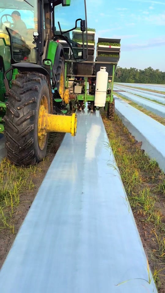 Post 7 by Julie Nobs on TikTok (video)