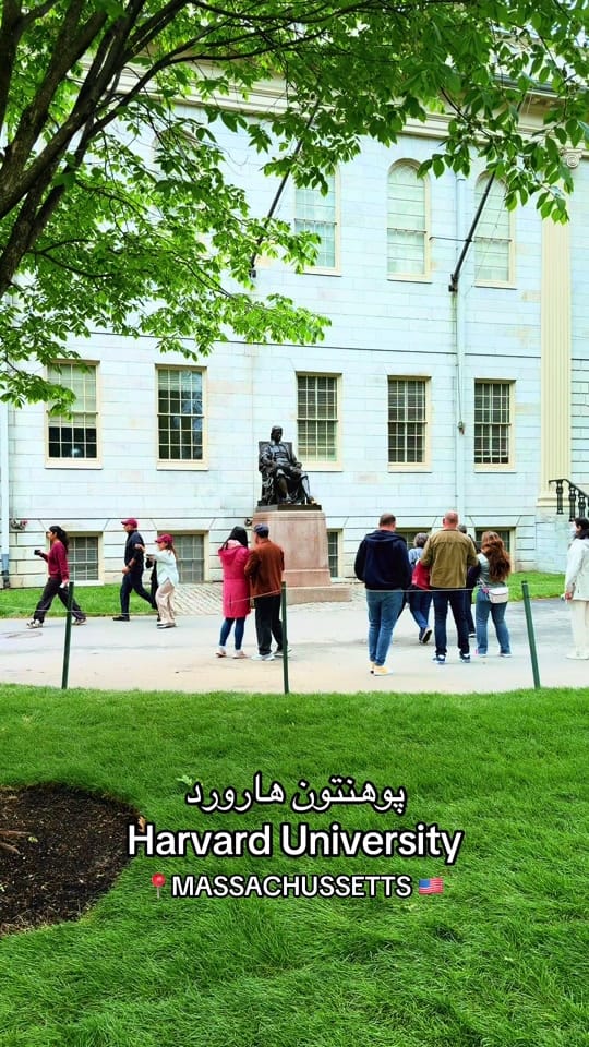 Post 5 by Maiwand Safa on TikTok (video)