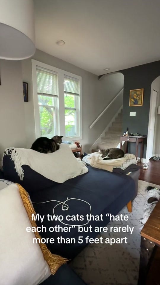 Post 1 by Sam on TikTok (video)