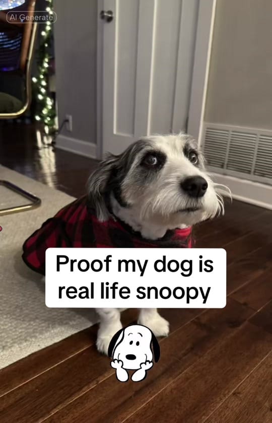 Post 4 by Sam on TikTok (video)