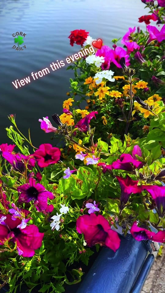 Post 1 by Cork Daily on TikTok (video)