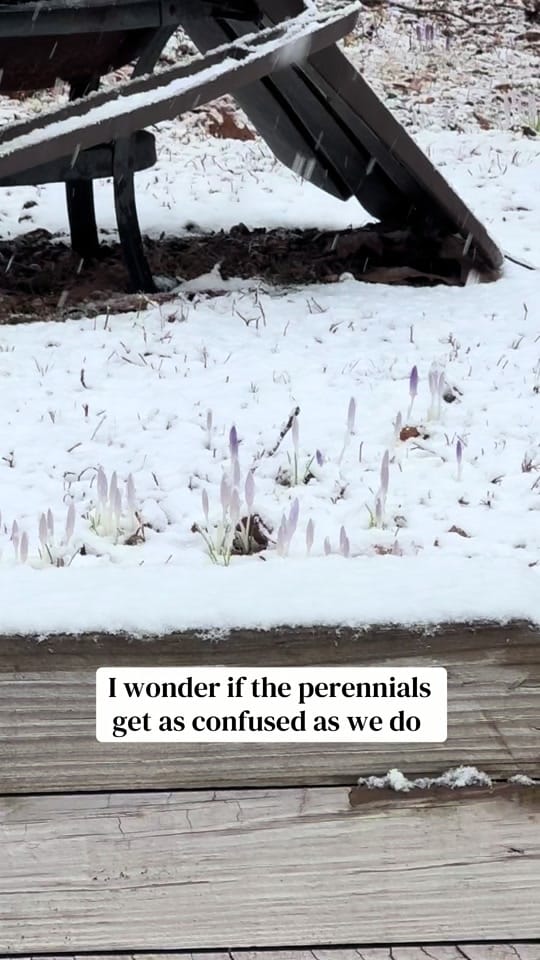 Post 7 by Captured In Maine on TikTok (video)