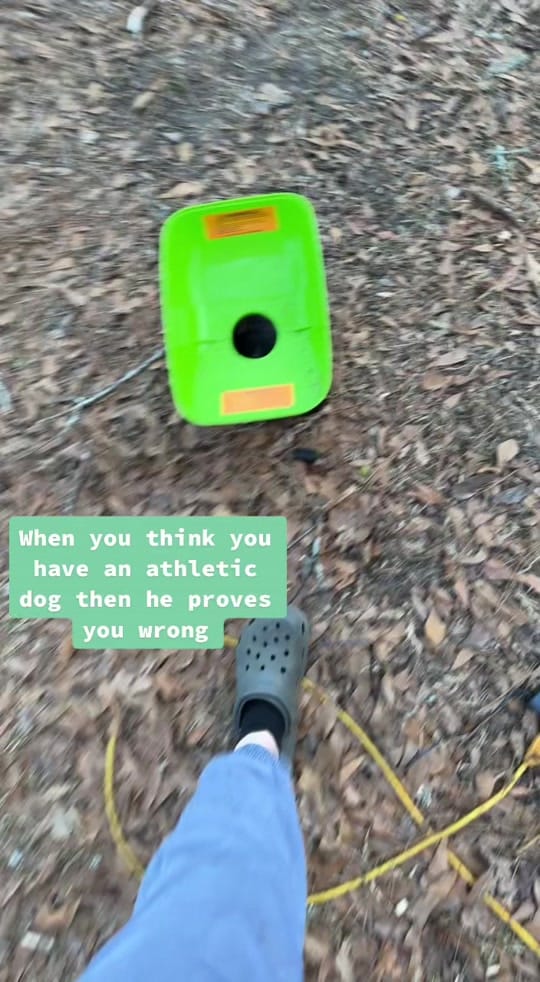 Post 7 by Tayler Blackburn on TikTok (video)