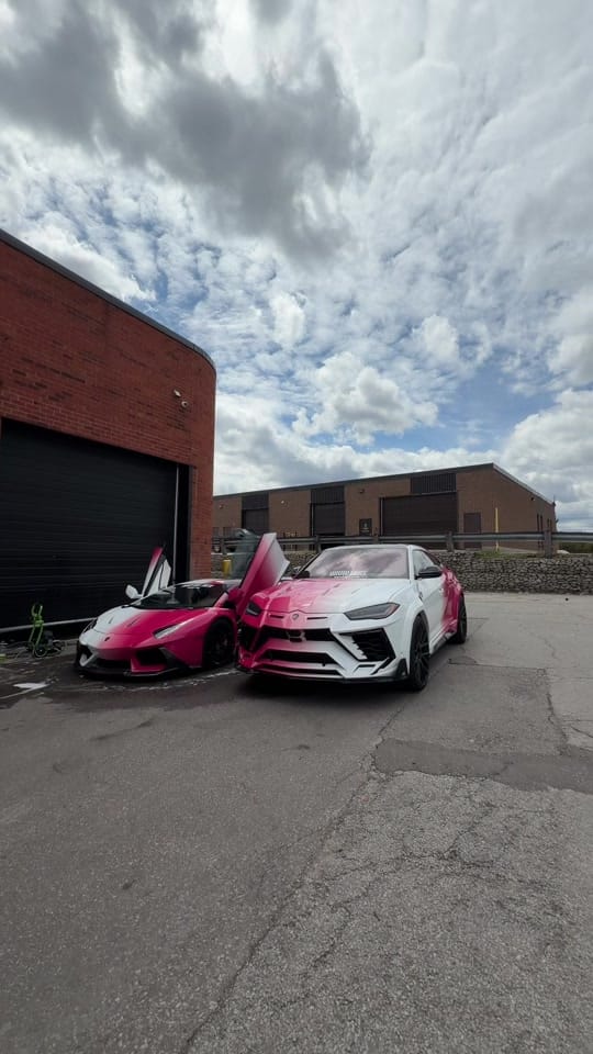Post 6 by Wraptors Toronto on TikTok (video)