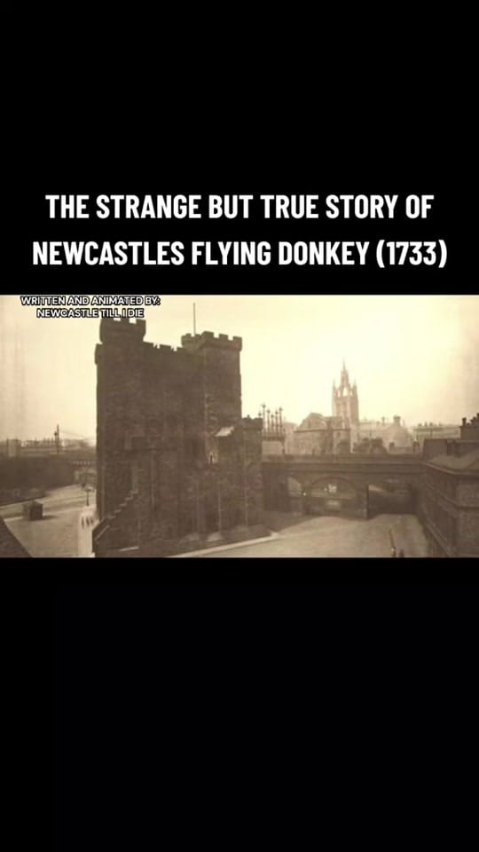 Post 1 by Newcastle Till I Die on TikTok (video)