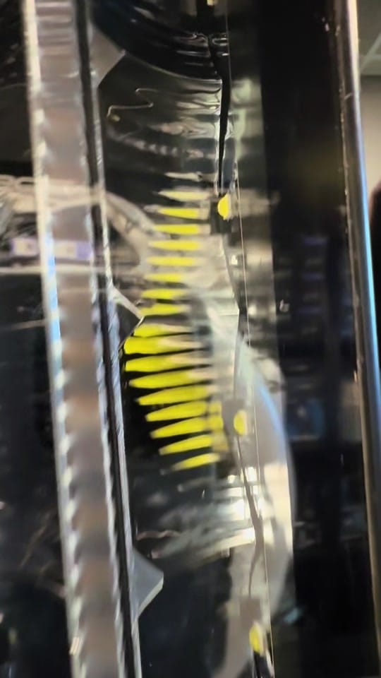 Post 10 by LEDS IRELAND on TikTok (video)