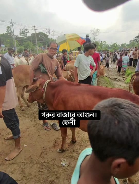 Post 3 by Khairul Islam on TikTok (video)
