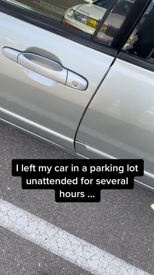 Post 10 by Jazz on TikTok (video)