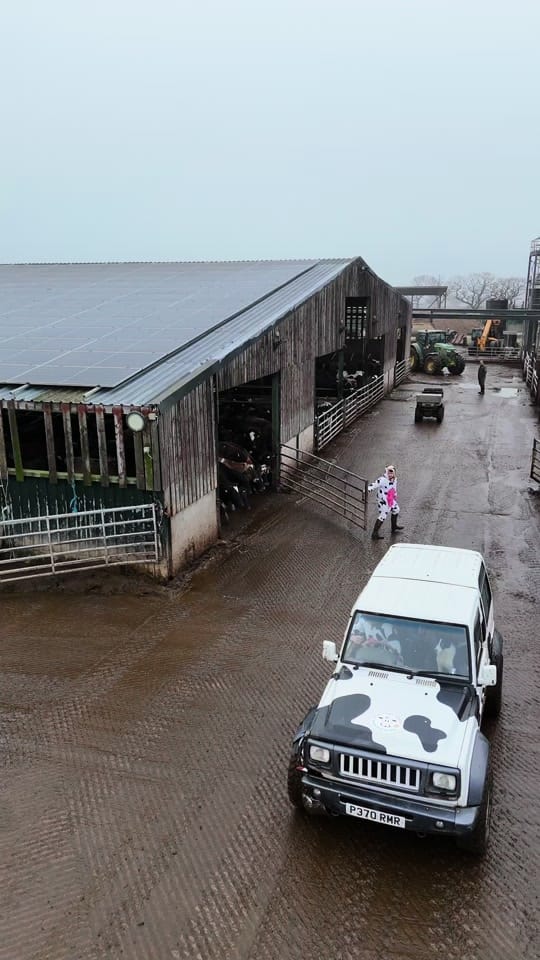 Post 4 by Rossett Park Farming on TikTok (video)