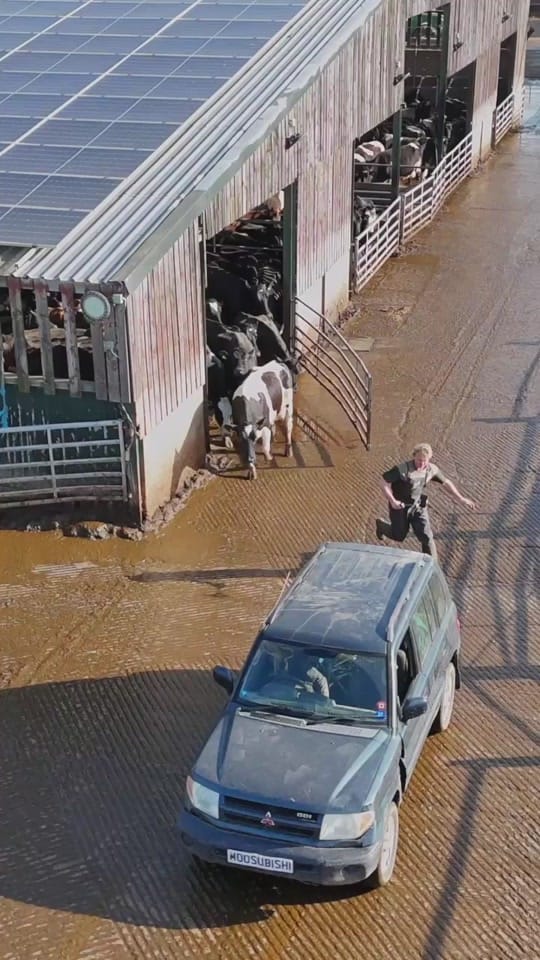 Post 8 by Rossett Park Farming on TikTok (video)