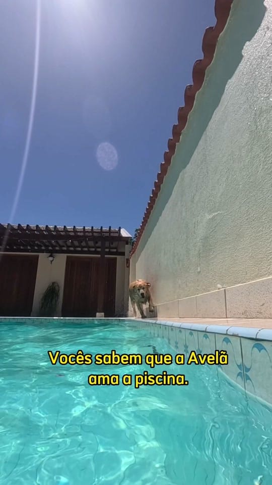Post 10 by Vai Dormir Onde on TikTok (video)