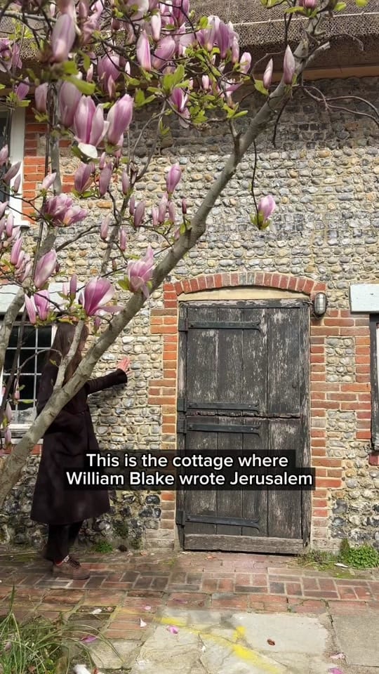 Post 6 by Dr. Rebecca Marks on TikTok (video)