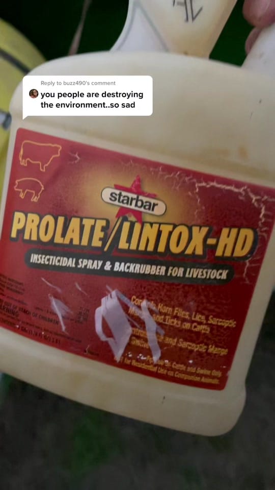 Post 7 by Cody hutchison on TikTok (video)