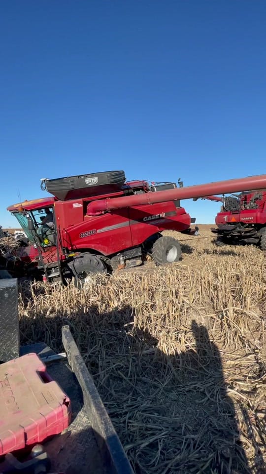 Post 3 by Cody hutchison on TikTok (video)