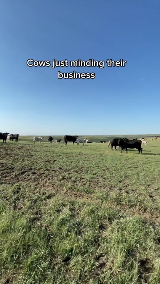 Post 6 by Cody hutchison on TikTok (video)