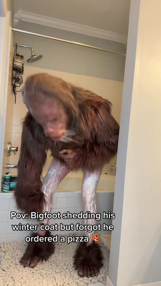 Post 8 by Harry jr on TikTok (video)