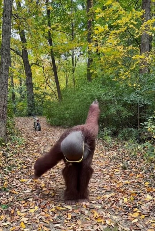 Post 6 by Harry jr on TikTok (video)