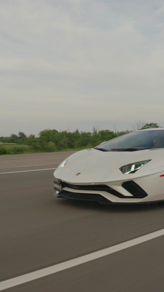 Post 7 by Lunar Exotics on TikTok (video)